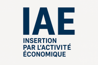 Insertion par l'Activité Economique : Dématérialisation des demandes de conventionnement et de renouvellement via « SIAE Connect »