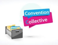 Application des conventions et accords collectifs nationaux à Mayotte