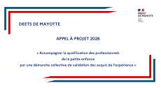 APPEL À PROJETS : Accompagner la qualification des professionnels de la petite enfance par une démarche collective de validation des acquis de l'expérience 